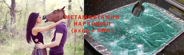 прущие грибы Горнозаводск