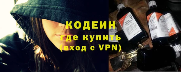прущие грибы Горнозаводск