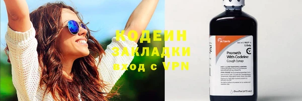 прущие грибы Горнозаводск