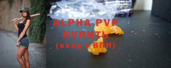 прущие грибы Горнозаводск