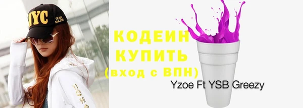 ПСИЛОЦИБИНОВЫЕ ГРИБЫ Гусев