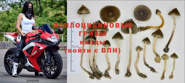 прущие грибы Горнозаводск